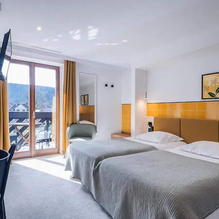 Hotel Au Vieux Moulin 3*