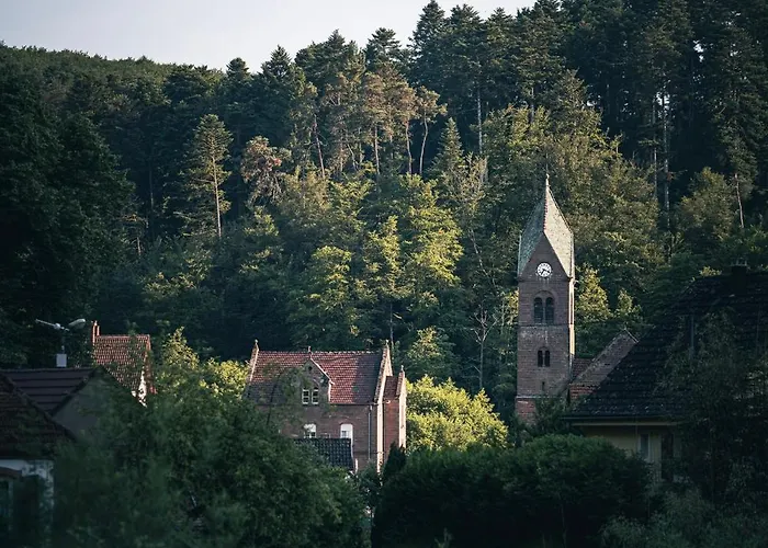 Au Vieux Moulin Graufthal